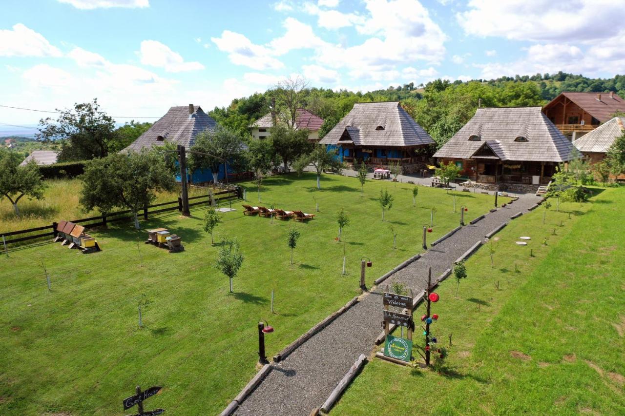 Iz De Maramures Rural Hotel (Adults Only) Surdesti  エクステリア 写真