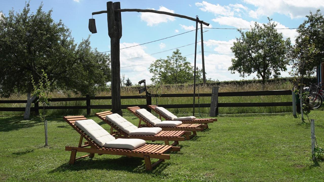 Iz De Maramures Rural Hotel (Adults Only) Surdesti  エクステリア 写真