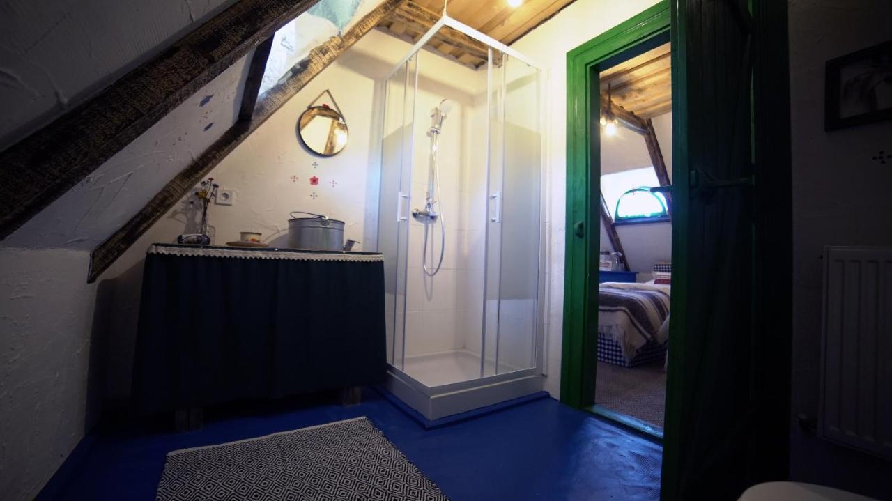 Iz De Maramures Rural Hotel (Adults Only) Surdesti  エクステリア 写真