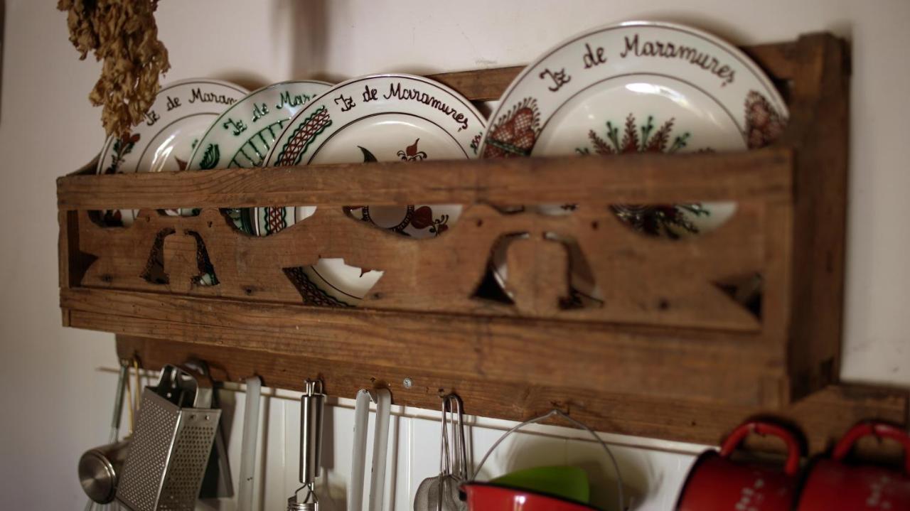 Iz De Maramures Rural Hotel (Adults Only) Surdesti  エクステリア 写真