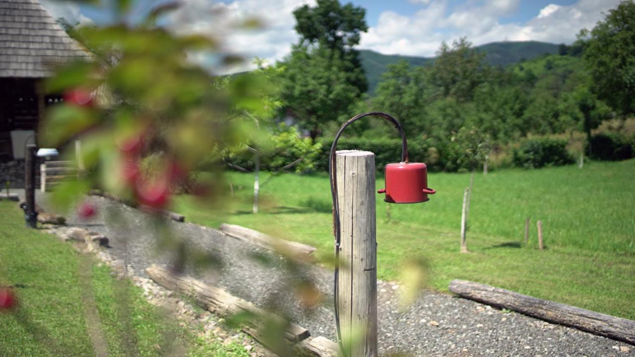 Iz De Maramures Rural Hotel (Adults Only) Surdesti  エクステリア 写真