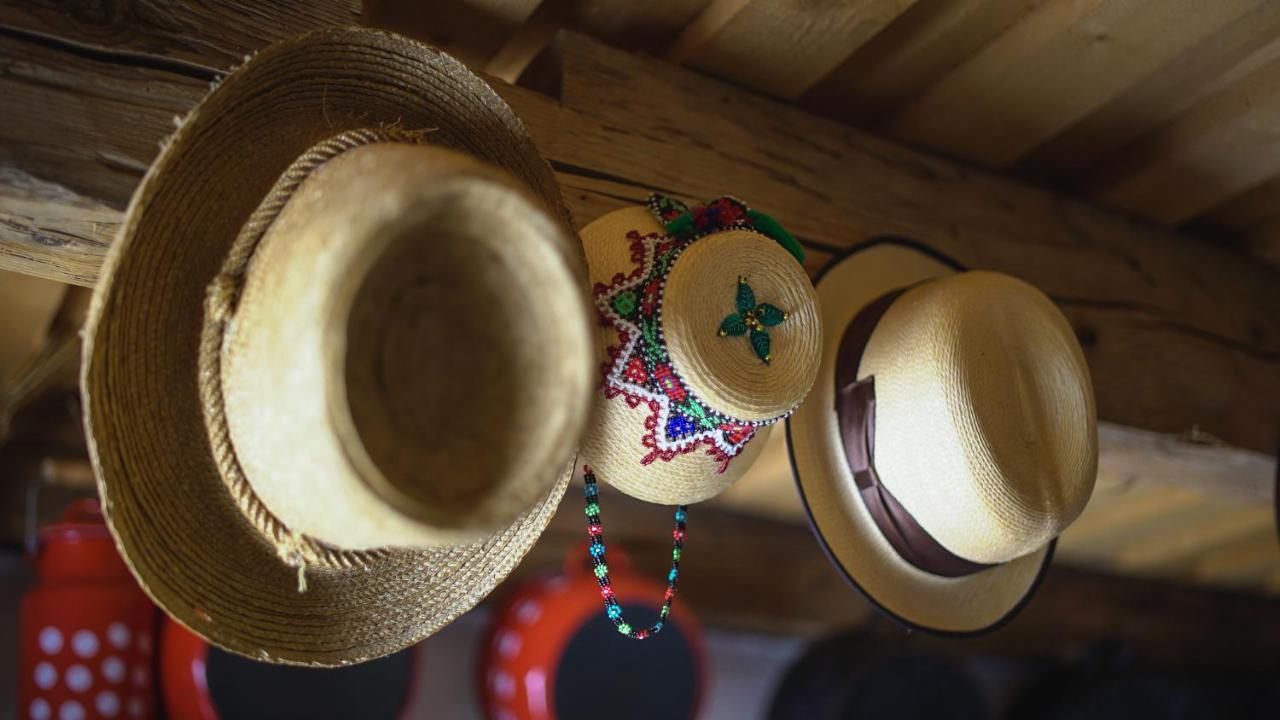 Iz De Maramures Rural Hotel (Adults Only) Surdesti  エクステリア 写真