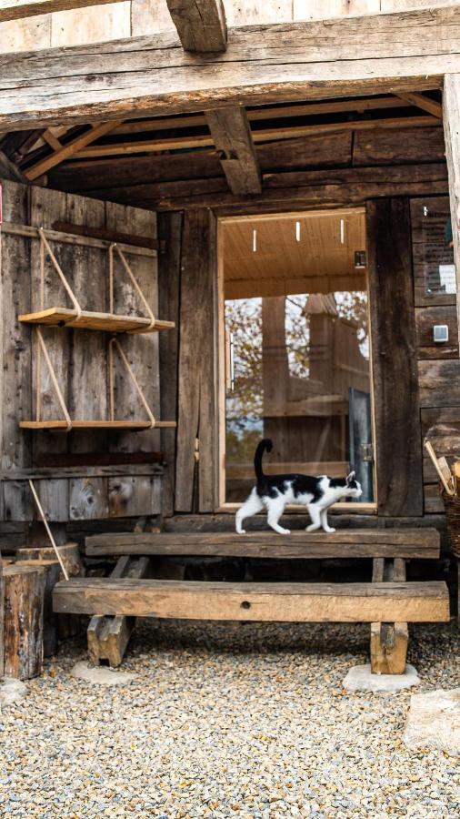 Iz De Maramures Rural Hotel (Adults Only) Surdesti  エクステリア 写真