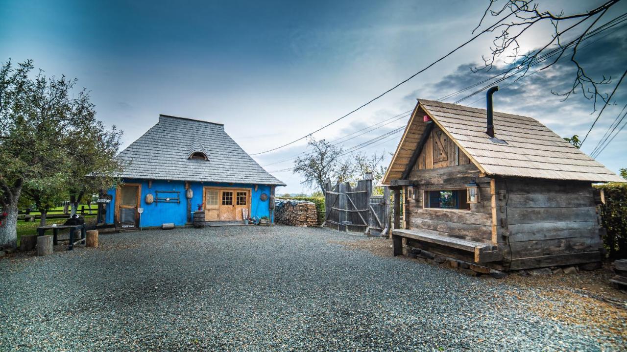 Iz De Maramures Rural Hotel (Adults Only) Surdesti  エクステリア 写真