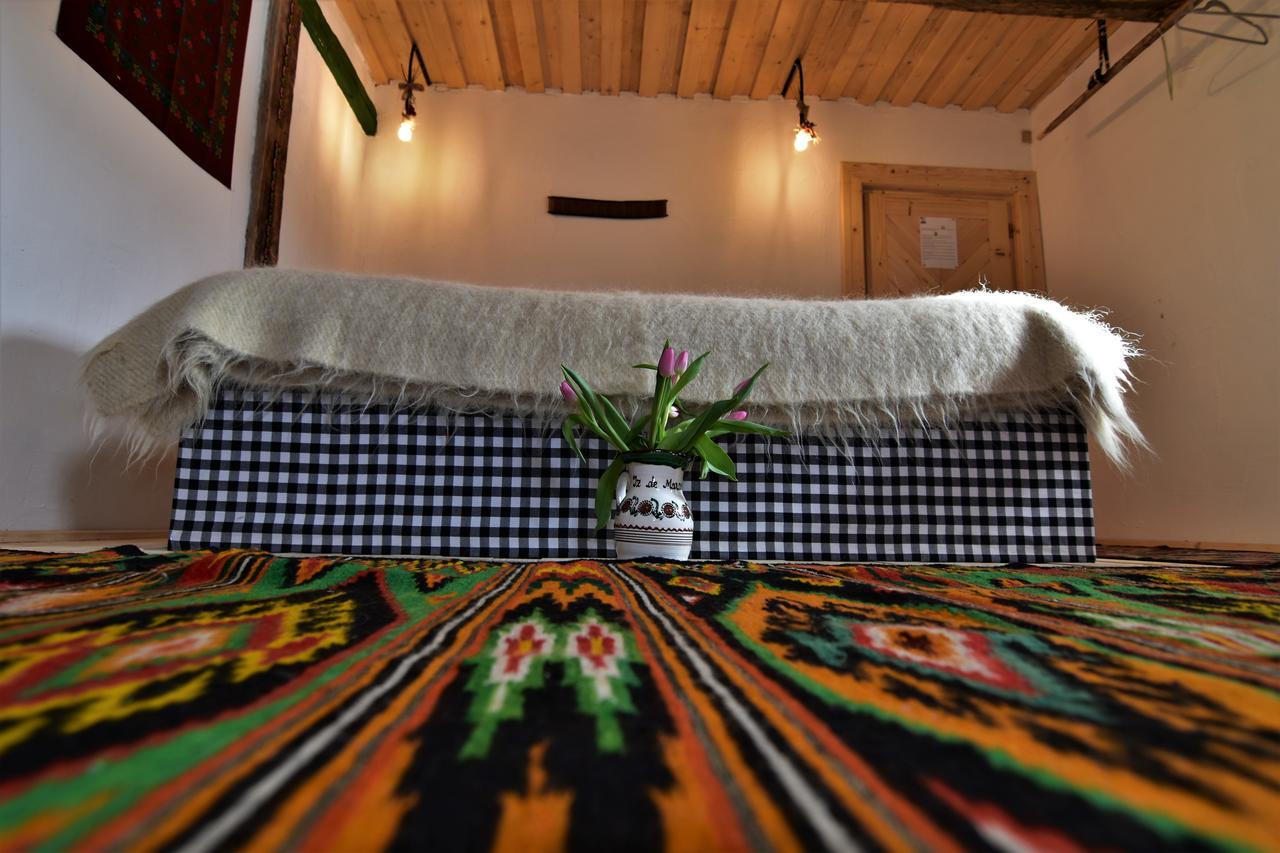 Iz De Maramures Rural Hotel (Adults Only) Surdesti  エクステリア 写真
